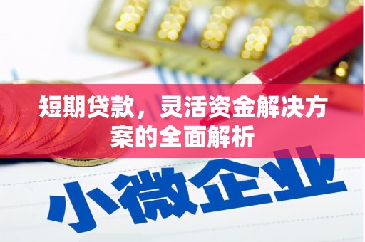 阳西短期贷款，灵活资金解决方案的全面解析