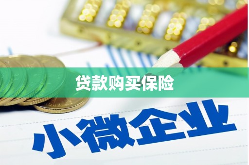 阳西贷款购买保险