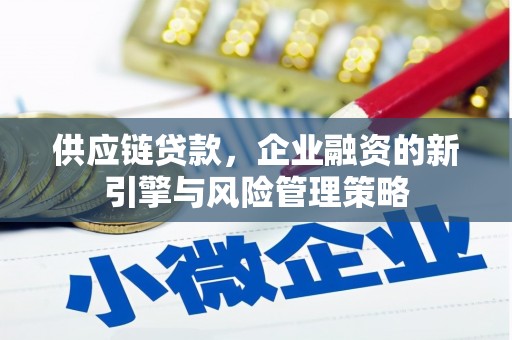 阳西供应链贷款，企业融资的新引擎与风险管理策略