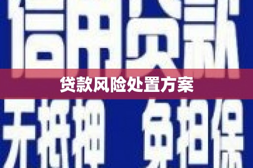 阳西贷款风险处置方案