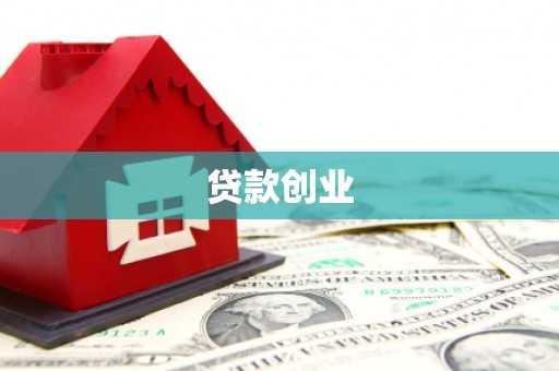 阳西贷款创业