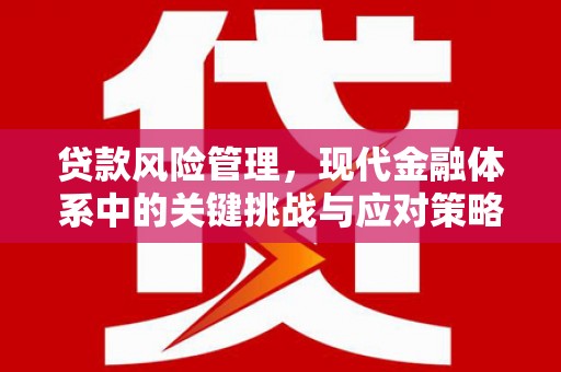 阳西贷款风险管理，现代金融体系中的关键挑战与应对策略