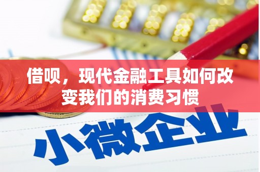 阳西借呗，现代金融工具如何改变我们的消费习惯