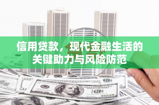 阳西信用贷款，现代金融生活的关键助力与风险防范