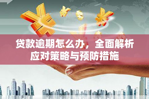 阳西贷款逾期怎么办，全面解析应对策略与预防措施