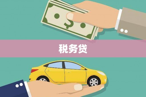 阳西税务贷