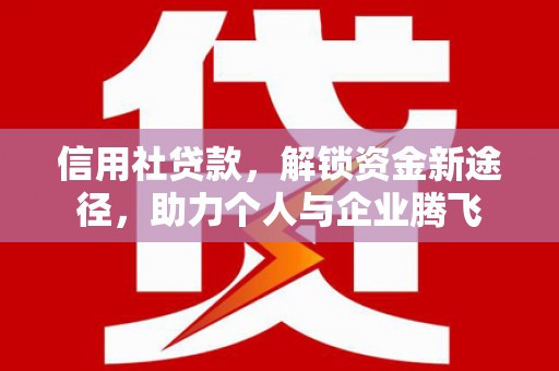 阳西信用社贷款，解锁资金新途径，助力个人与企业腾飞