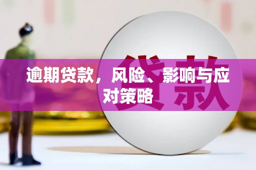 阳西逾期贷款，风险、影响与应对策略