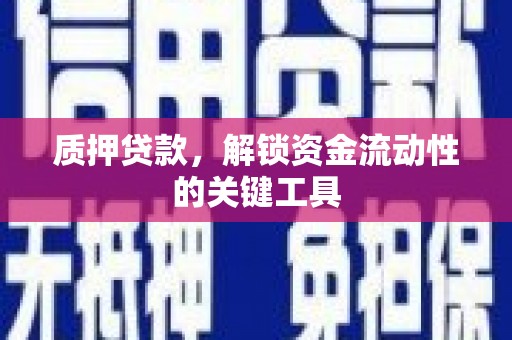 阳西质押贷款，解锁资金流动性的关键工具