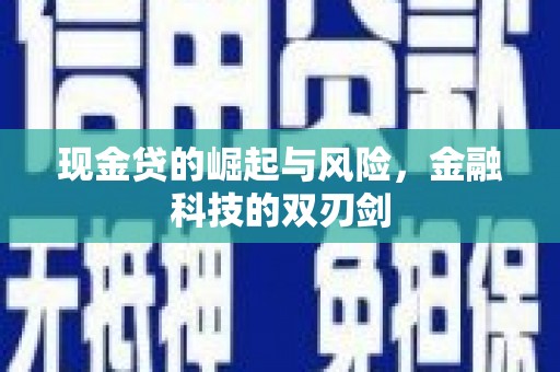 阳西现金贷的崛起与风险，金融科技的双刃剑