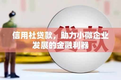阳西信用社贷款，助力小微企业发展的金融利器