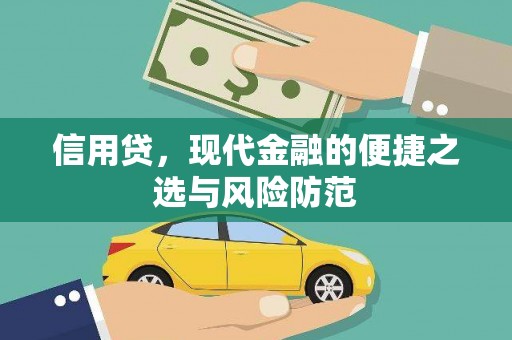 阳西信用贷，现代金融的便捷之选与风险防范