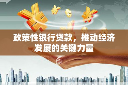 阳西政策性银行贷款，推动经济发展的关键力量