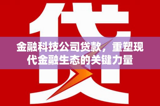 阳西金融科技公司贷款，重塑现代金融生态的关键力量