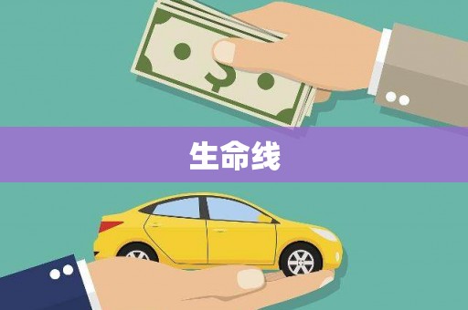 阳西生命线