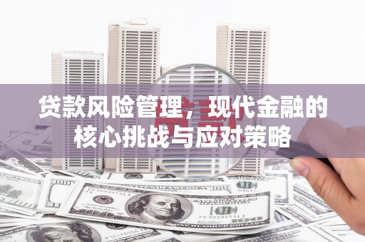 阳西贷款风险管理，现代金融的核心挑战与应对策略