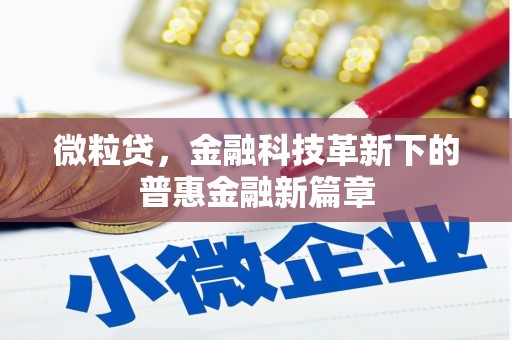 阳西微粒贷，金融科技革新下的普惠金融新篇章