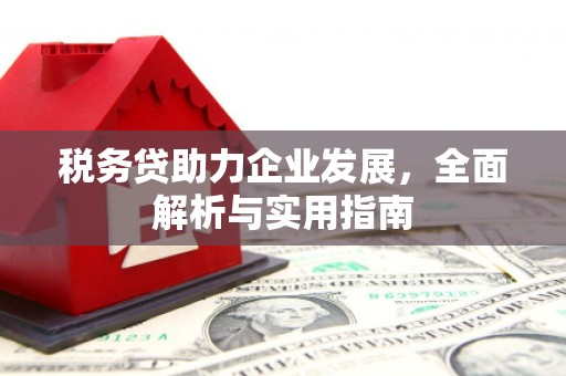阳西税务贷助力企业发展，全面解析与实用指南