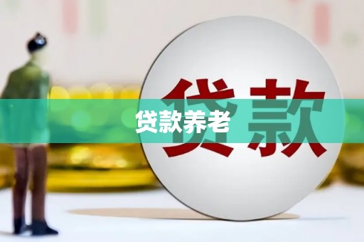 阳西贷款养老