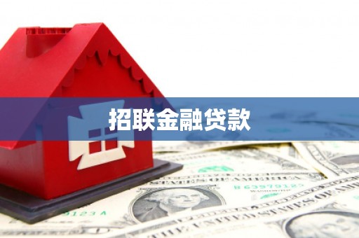 阳西招联金融贷款