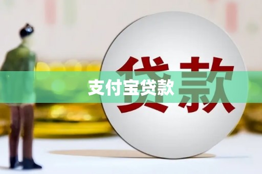 阳西支付宝贷款