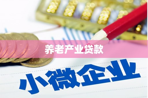 阳西养老产业贷款