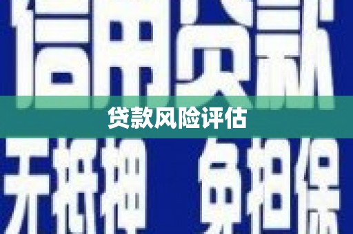 阳西贷款风险评估