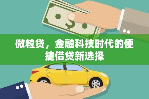 阳西微粒贷，金融科技时代的便捷借贷新选择