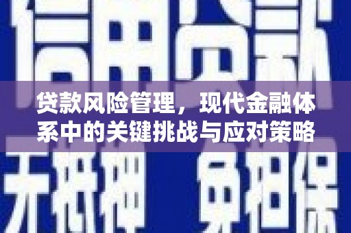 阳西贷款风险管理，现代金融体系中的关键挑战与应对策略