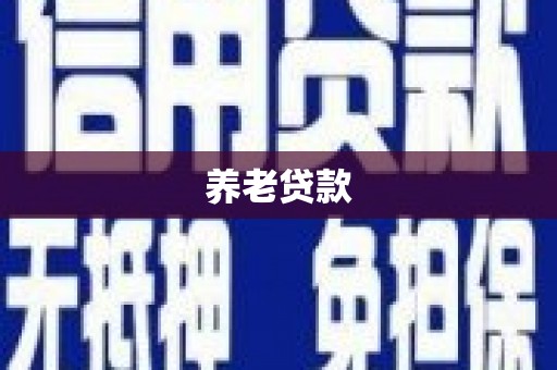 阳西养老贷款