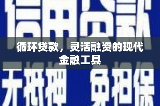 阳西循环贷款，灵活融资的现代金融工具