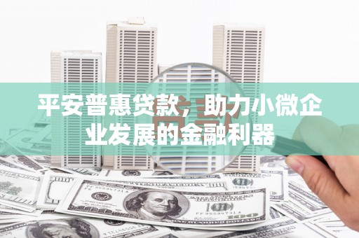 阳西平安普惠贷款，助力小微企业发展的金融利器