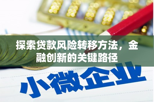 阳西探索贷款风险转移方法，金融创新的关键路径