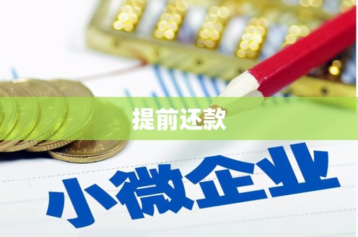 阳西提前还款