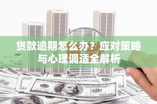 阳西贷款逾期怎么办？应对策略与心理调适全解析