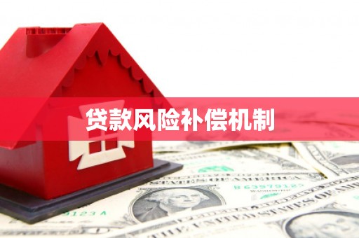 阳西贷款风险补偿机制