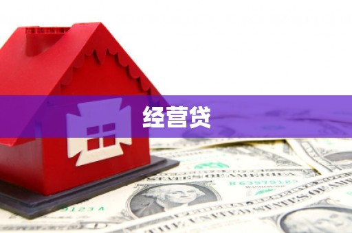阳西经营贷