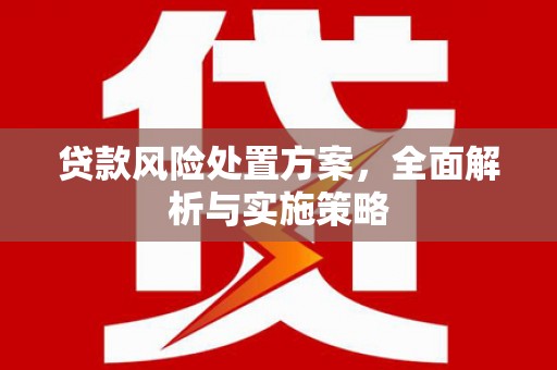 阳西贷款风险处置方案，全面解析与实施策略