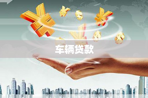 阳西车辆贷款